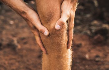 Joint Pain New York NY